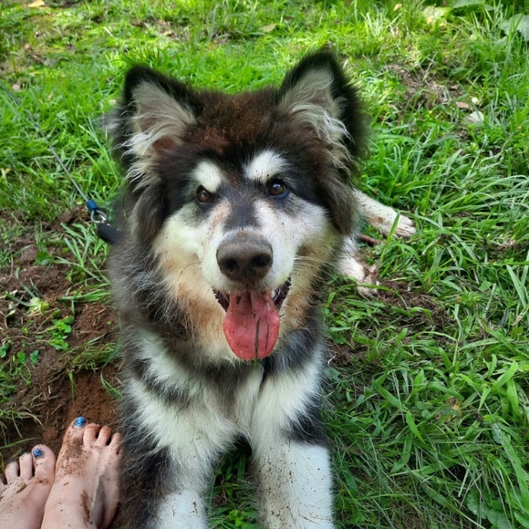 Meet your Posher, Morgan - Picture 7 of 11